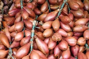 Oignons en vente sur un étal de marché photo