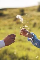 jeune couple aimant tenant dans les mains des pissenlits dans le parc d'été sur fond vert naturel, vue des mains. une paire de mains tient un pissenlit. photo