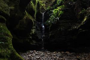 petite cascade entourée de mousse verte photo