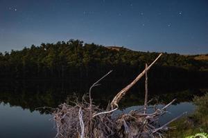 bois flotté près de la rivière la nuit photo