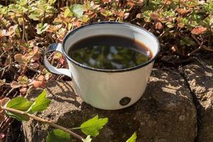 café du matin dans le jardin photo