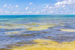 plage mexicaine tropicale eau turquoise claire playa del carmen mexique. photo