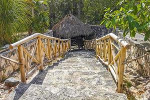 escalier de la porte d'entrée de la grotte gouffre cenote tajma ha mexique. photo