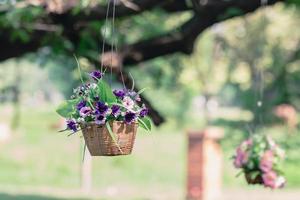 pot de fleur suspendu en plastique dans le paysage, bokeh de fond de nature photo