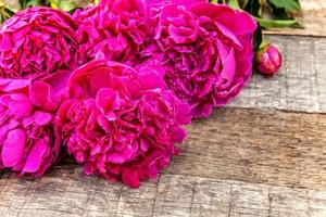 cadre floral avec bouquet de fleurs de pivoine rose magenta en fleurs fraîches sur un vieux fond en bois rustique minable, espace pour copie. printemps ou été dans le jardin, éco, nature colorée, concept d'écologie. photo