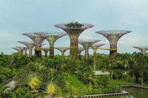 singapour, 12 mai, jardins de la baie le 12 mars 2014 à singapour. Gardens by the Bay a été couronné bâtiment mondial de l'année au festival mondial d'architecture 2012 photo