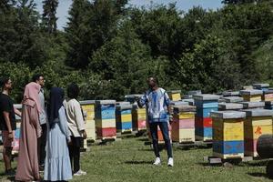 groupe de personnes visitant une ferme de production de miel locale