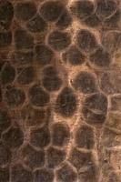 texture de fond en cuivre ancien photo