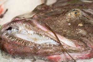 poisson grenouille géante fraîche au marché photo