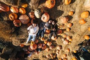 pose dans un champ de citrouilles photo