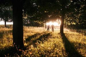 portrait de couple en plein air photo