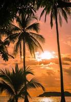 incroyable coucher de soleil - manuel antonio, costa rica photo