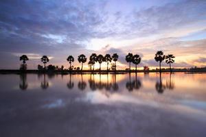 paysage de lever de soleil coloré avec des silhouettes de palmiers photo