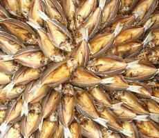 conservation des aliments - vue de dessus du poisson mulet séché salé disposé sur l'osier de bambou. photo