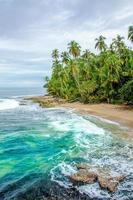 plage sauvage des caraïbes du costa rica - manzanillo photo