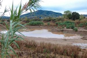 fleuve llobregat très proche de son embouchure dans la mer méditerranée près de la ville de barcelone. photo