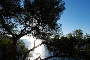 ville de sant feliu de guixols sur la costa brava, espagne photo