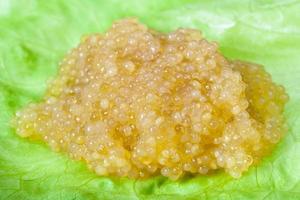 portion de caviar salé de brochet sur feuille verte photo