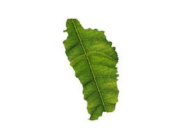 carte de la dominique faite de feuilles vertes sur le concept d'écologie de fond de sol photo