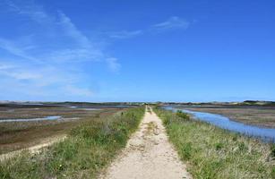 sentier de randonnée de sable sur le marais de marée sur le cap photo