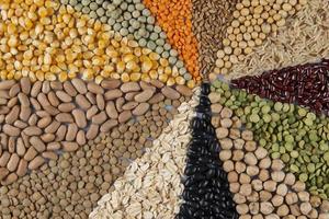 grande collection de différentes céréales et graines comestibles. motif angulaire de grain avec vue de dessus photo