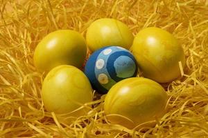 oeufs de pâques jaunes sur fond de paille photo