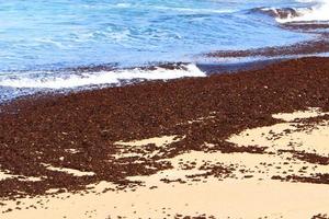 plage de sable sur la mer méditerranée dans le nord d'israël. photo