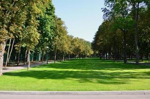 arbres verts et oranges dans un magnifique parc. paysage d'automne floral et naturel photo