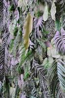 fond de feuilles vertes tropicales, fougère, palmier et feuille de monstera deliciosa sur le mur photo