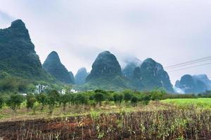 jardins près de la montagne karstique à yangshuo photo