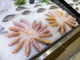 fruits de mer sur glace au marché aux poissons. photo