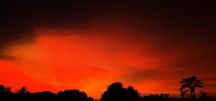 coucher de soleil, ciel orange bush silhouette d'arbre fond noir nature photo