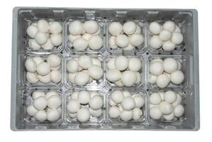 12 punnett de champignons en 200 g isolés sur fond blanc. photo