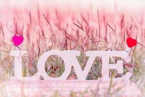 texte d'amour, fond de la saint valentin moment romantique dans la nature photo