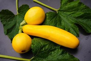 courgettes cucurbita pepo dans le vieux pays à côté de hambourg photo