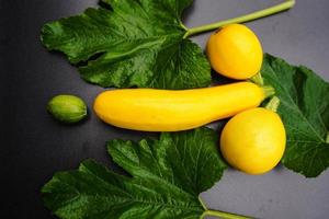 courgettes cucurbita pepo dans le vieux pays à côté de hambourg photo