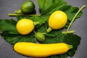 courgettes cucurbita pepo dans le vieux pays à côté de hambourg photo