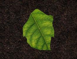 carte eswatini faite de feuilles vertes sur le concept d'écologie de fond de sol photo