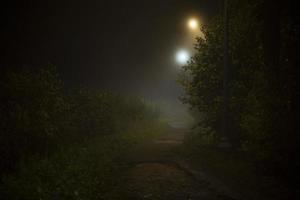 brouillard la nuit dans le parc. brouillard en ville. lumières et air humide. photo