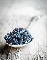 caviar noir photo