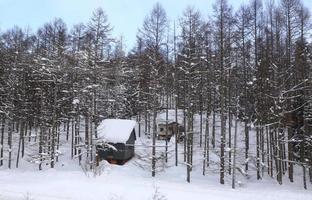 maisons couvertes de neige