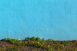 mur de plâtre bleu et herbe sauvage en dessous photo