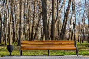 banc vide dans le parc du printemps photo