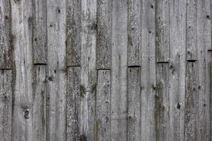 Ancienne surface de planche de bois gris patiné à sec - fond et texture plein cadre photo