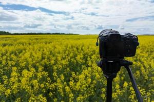 appareil photo sans miroir professionnel moderne sur trépied tirant champ jaune sur trépied, gros plan