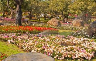 jardin fleuri avec arroseur pulvérisant de l'eau photo