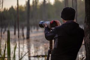 photographe professionnel prise de vue sauvage tôt le matin dans la zone marécageuse d'été avec téléobjectif sur un trépied photo