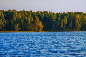 lac carélien avec lisière de forêt photo