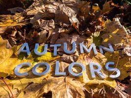 les mots couleurs d'automne posés avec des lettres métalliques sur les feuilles tombées d'automne jaune - gros plan avec mise au point sélective photo