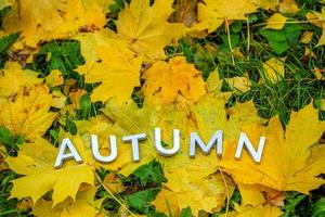 le mot automne posé avec des lettres épaisses en aluminium sur le sol avec des feuilles d'érable et de l'herbe verte. photo